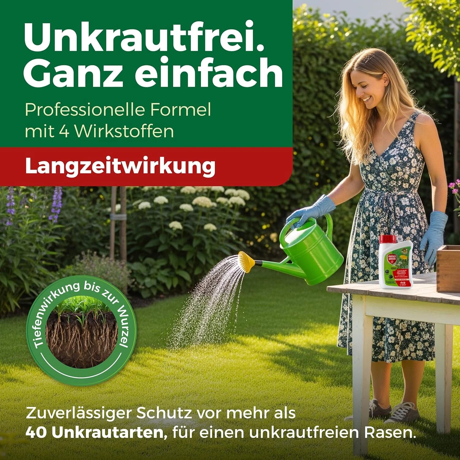 Loredo Quattro Désherbant sélectif gazon 100ml