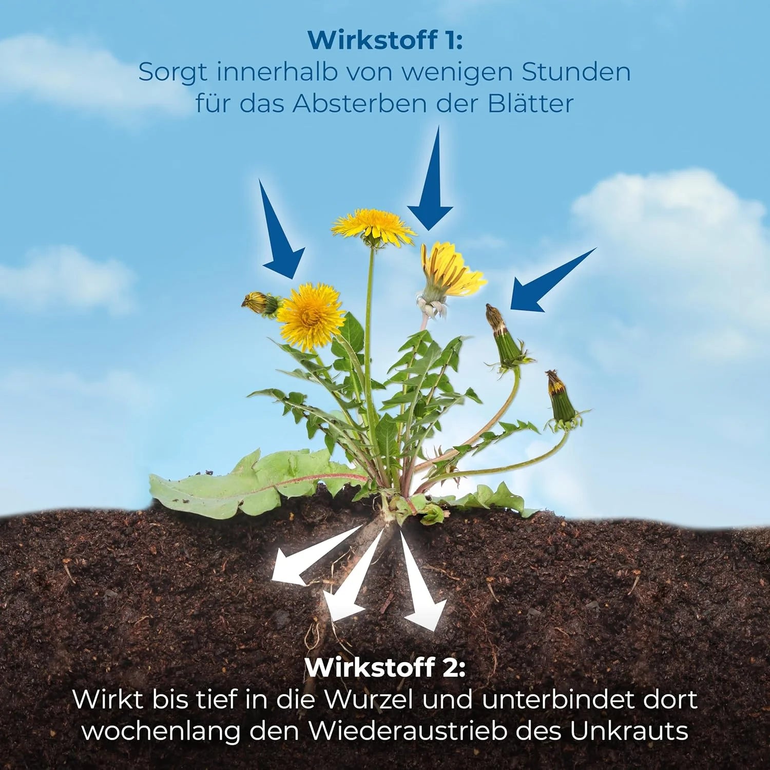 Protect Garden Permaclean Duo Unkraut & Wurzel-Ex 250ml