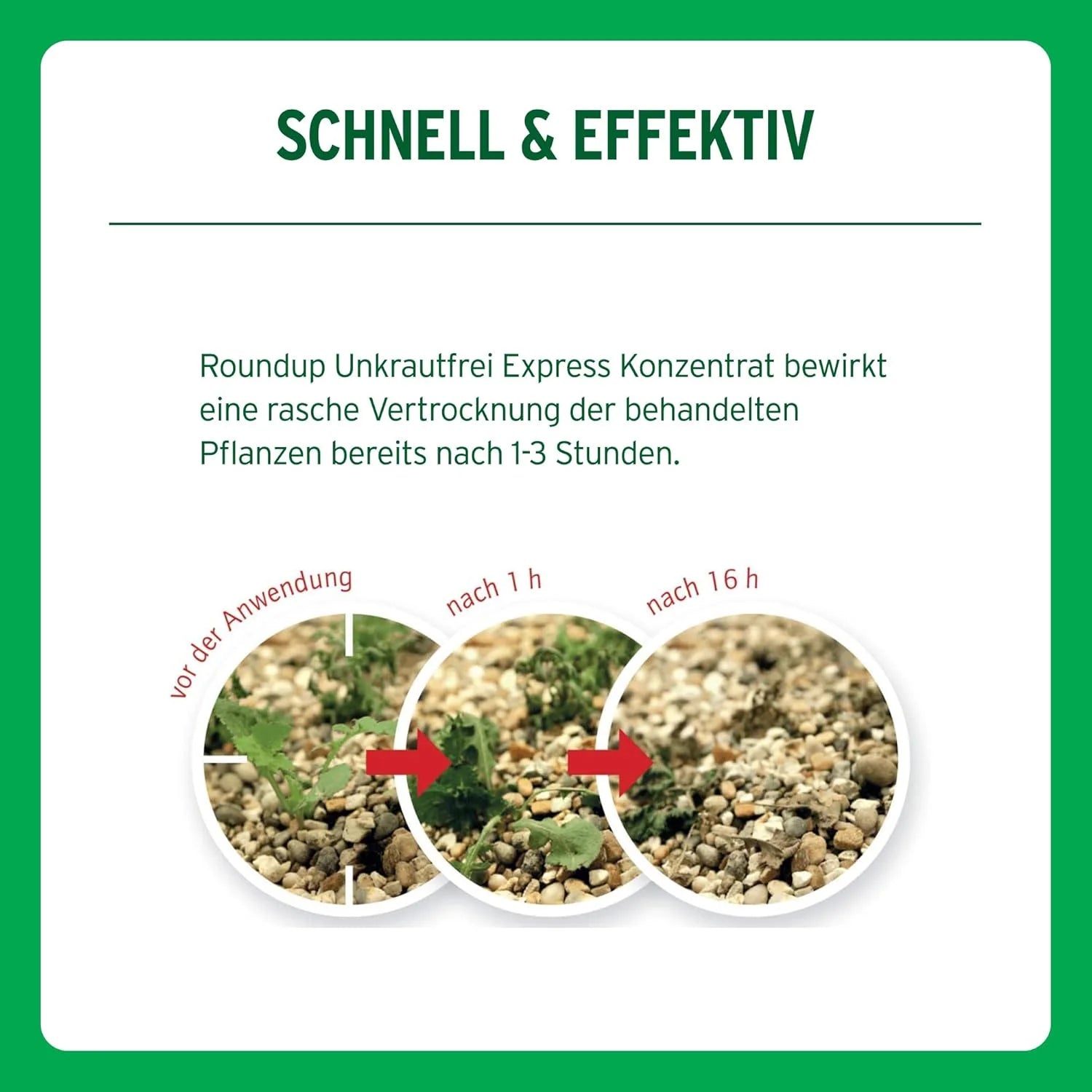 Désherbant ROUNDUP EXPRESS en flacon pulvérisateur de 3L
