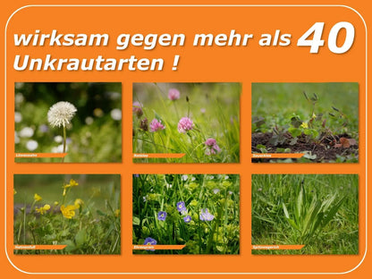 CELAFLOR WEEDEX Herbicide Désherbant Sélectif 100 ml