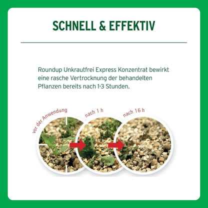 Désherbant ROUNDUP EXPRESS en flacon pulvérisateur de 3L