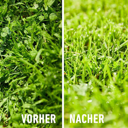 Compo Désherbant Sélectif Gazon 150ml